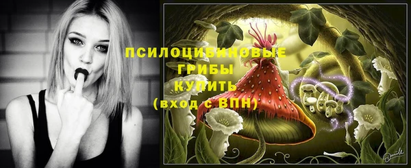 mix Богородск