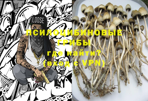 амф Богданович