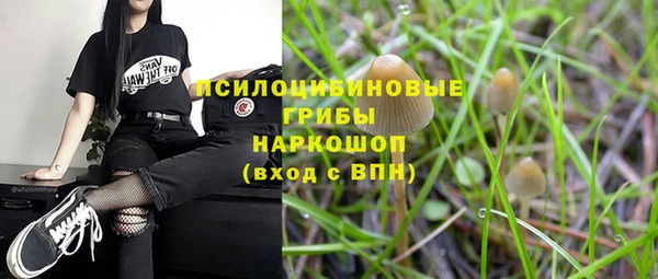 амф Богданович