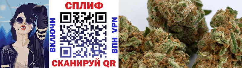 Купить закладки  Богданович  Канабис план 